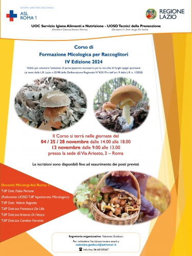 card funghi