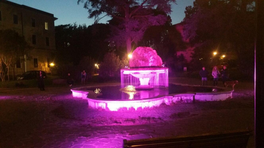 Fontana SMP