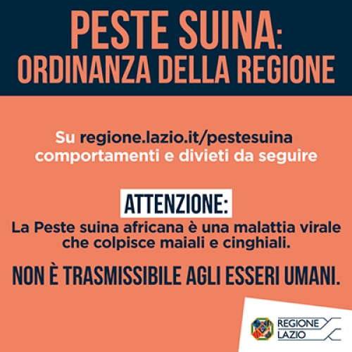 Peste suina: misure di contrasto e comportamenti da seguire