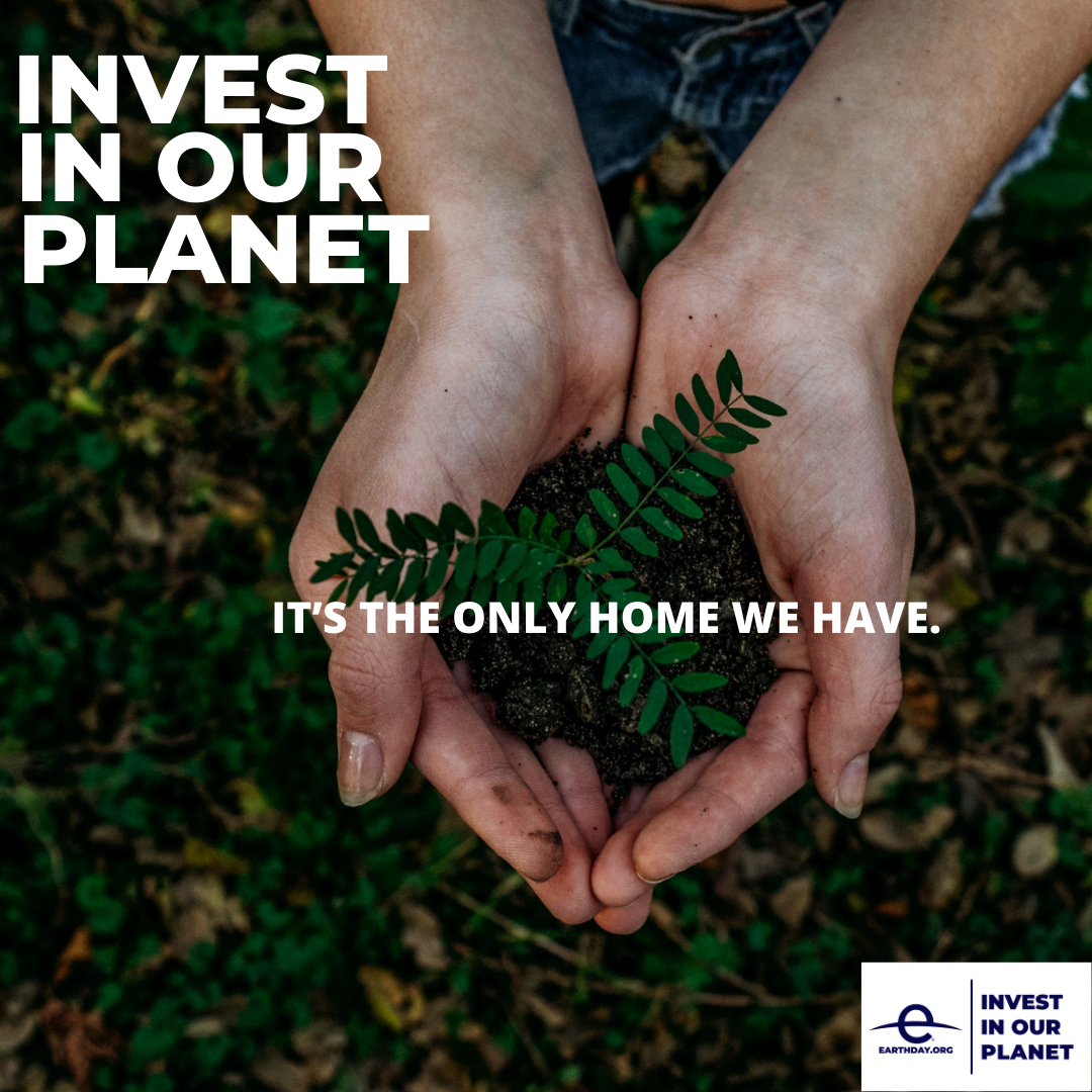 Earth Day 2023: foto di mani che sorreggono terra e arbusti