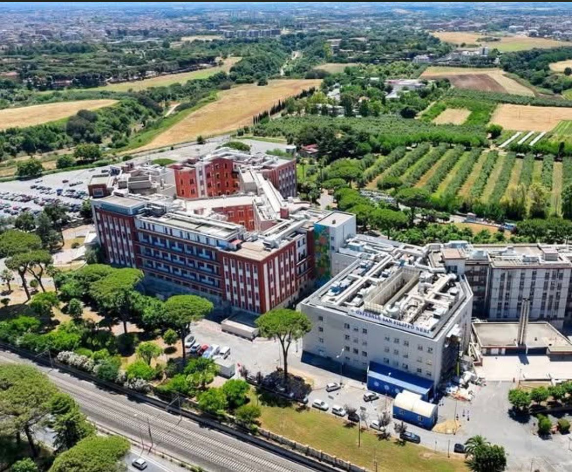 Messa in sicurezza delle alberature al San Filippo Neri