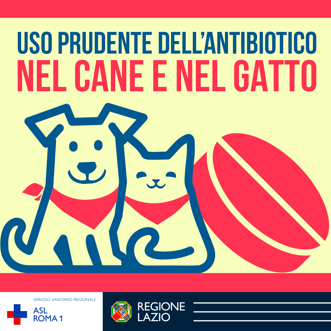 Pubblicate le Linee Guida per l'uso prudente dell'antibiotico nel cane e nel gatto